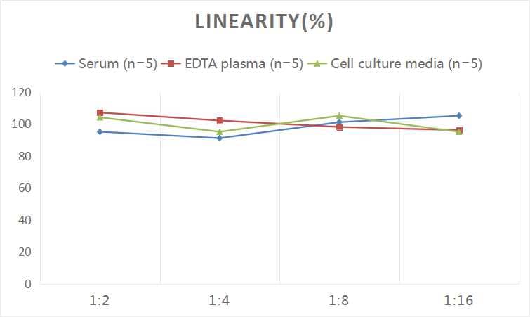 ELISA: Rat IgG ELISA Kit (Chemiluminescence) [NBP3-00474] - Samples were spiked with high concentrations of Rat IgG and diluted with Reference Standard & Sample Diluent to produce samples with values within the range of the assay.