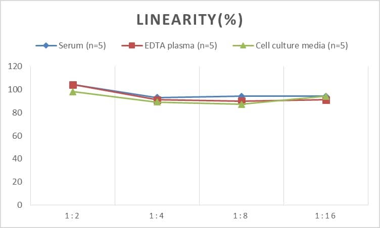 ELISA Rat IgG2c ELISA Kit (Colorimetric)