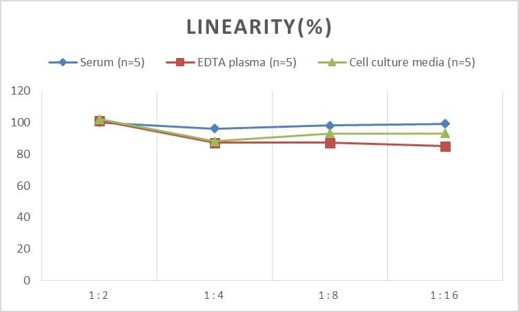 ELISA Rat Wnt-10b ELISA Kit (Colorimetric)