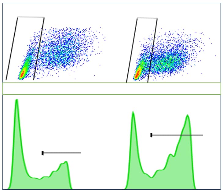 Flow Cytometry: Amine Reactive Comp-Bead 2 Population Kit [NBP3-00496] - Beads used for flow cytometry compensation calculations. Image from a verified customer review.