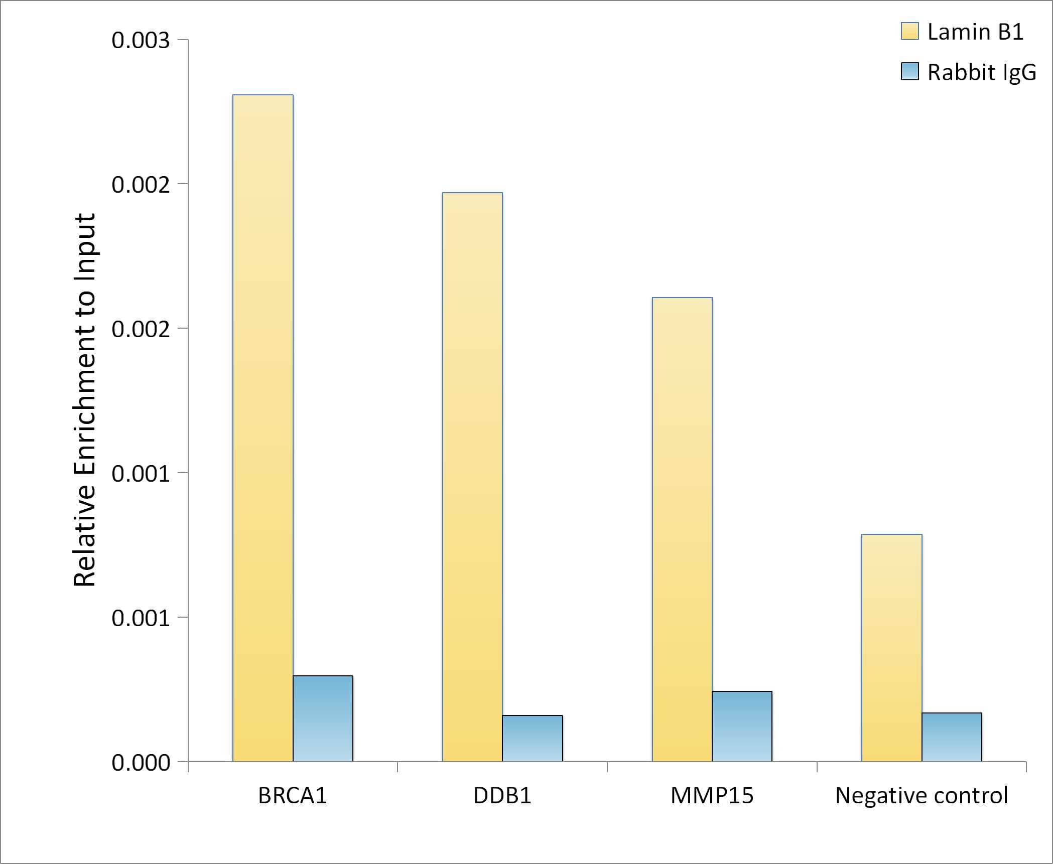 Chromatin Immunoprecipitation: Lamin B1 Antibody - Azide and BSA Free [Lamin B1] - Chromatin immunoprecipitation analysis of extracts of HeLa cells, using Lamin B1 Rabbit pAb antibody  and rabbit IgG.The amount of immunoprecipitated DNA was checked by quantitative PCR. Histogram was constructed by the ratios of the immunoprecipitated DNA to the input.