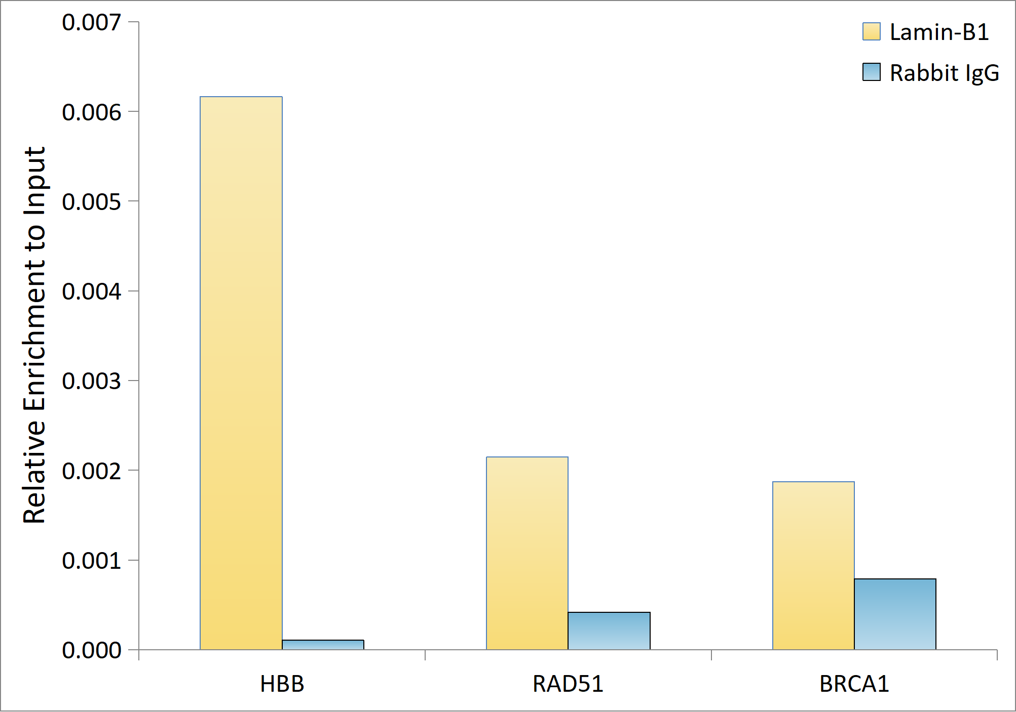 Chromatin Immunoprecipitation: Lamin B1 Antibody - Azide and BSA Free [Lamin B1] - Chromatin immunoprecipitation was performed with cross-linked chromatin from HeLa, using Lamin-B1 Rabbit mAb  and rabbit IgG. The amount of immunoprecipitated DNA was checked by quantitative PCR. Histogram compares the ratio of the immunoprecipitated DNA versus the input.