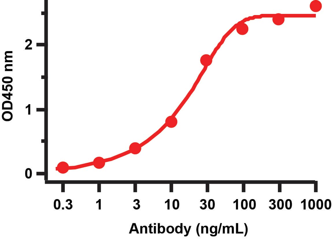 ELISA: SARS-CoV-2 Spike S2 Antibody - BSA Free [NBP3-05700] - Figure 2 ELISA Validation Antibodies: SARS-CoV-2 (COVID-19) Spike S2 Antibody, 9181.  A direct ELISA was performed using immunogen peptide (P) as coating antigen and the anti-SARS-CoV-2 (COVID-19) Spike S2 antibody as the capture antibody.  Secondary: Goat anti-rabbit IgG HRP conjugate at 1:20000 dilution. Detection range is from 0.3 ng/mL to 1000 ng/mL.