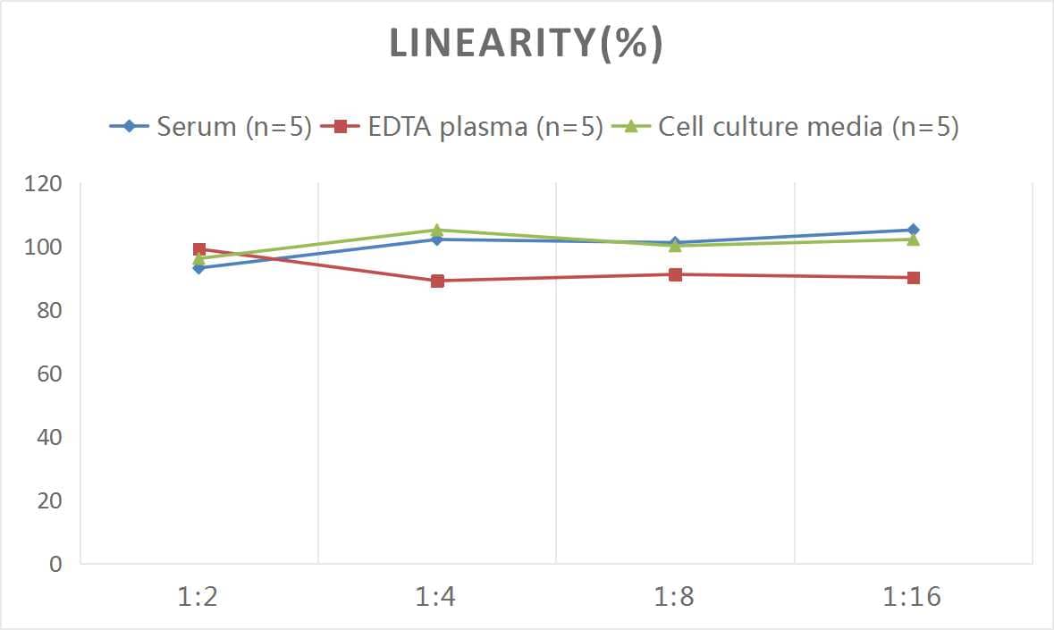 ELISA: Mouse Calcitonin ELISA Kit (Colorimetric) [NBP3-06734] - Samples were spiked with high concentrations of Mouse Calcitonin and diluted with Reference Standard & Sample Diluent to produce samples with values within the range of the assay.