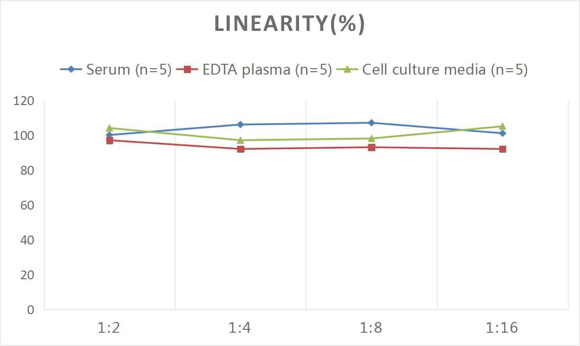 ELISA: Rat Calcitonin ELISA Kit (Colorimetric) [NBP3-06735] - Samples were spiked with high concentrations of Rat Calcitonin and diluted with Reference Standard & Sample Diluent to produce samples with values within the range of the assay.