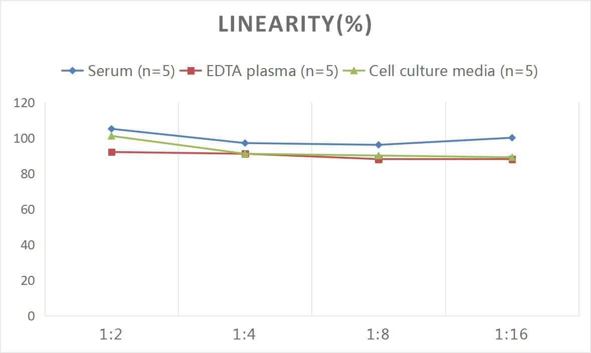 ELISA: Rat Chymotrypsin C/CTRC ELISA Kit (Colorimetric) [NBP3-06738] - Samples were spiked with high concentrations of Rat Chymotrypsin C/CTRC and diluted with Reference Standard & Sample Diluent to produce samples with values within the range of the assay.