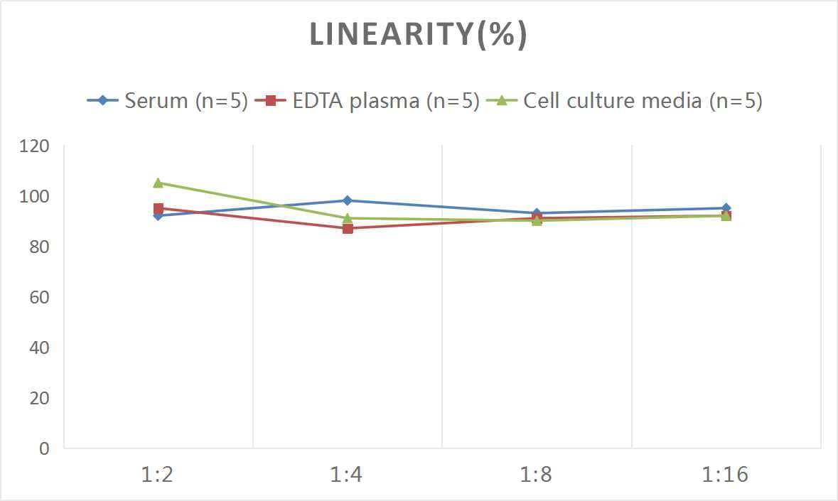 ELISA: Human IL-12/IL-35 p35 ELISA Kit (Colorimetric) [NBP3-06742] - Samples were spiked with high concentrations of Human IL-12/IL-35 p35 and diluted with Reference Standard & Sample Diluent to produce samples with values within the range of the assay.