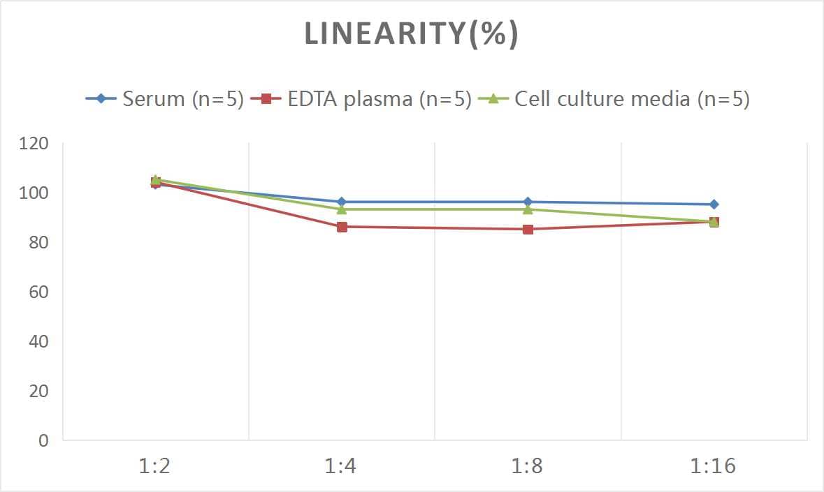 ELISA: Mouse IL-12/IL-35 p35 ELISA Kit (Colorimetric) [NBP3-06743] - Samples were spiked with high concentrations of Mouse IL-12/IL-35 p35 and diluted with Reference Standard & Sample Diluent to produce samples with values within the range of the assay.