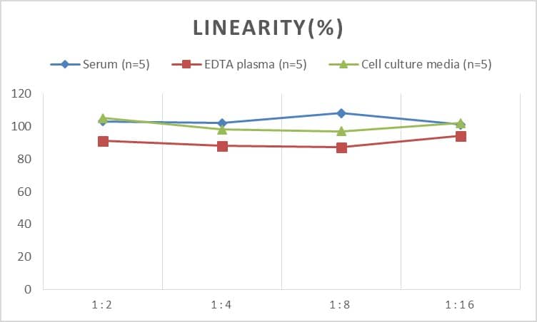 ELISA: Rat IL-12/IL-35 p35 ELISA Kit (Colorimetric) [NBP3-06744] - Samples were spiked with high concentrations of Rat IL-12/IL-35 p35 and diluted with Reference Standard & Sample Diluent to produce samples with values within the range of the assay.