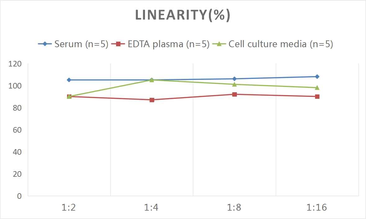 ELISA: Mouse IL-24 ELISA Kit (Colorimetric) [NBP3-06747] - Samples were spiked with high concentrations of Mouse IL-24 and diluted with Reference Standard & Sample Diluent to produce samples with values within the range of the assay.