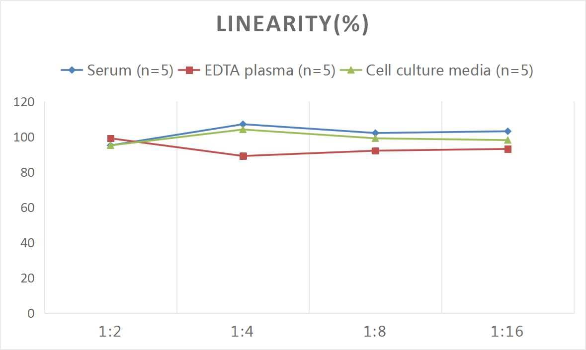 ELISA: Rat IL-12 ELISA Kit (Colorimetric) [NBP3-06749] - Samples were spiked with high concentrations of Rat IL-12 and diluted with Reference Standard & Sample Diluent to produce samples with values within the range of the assay.