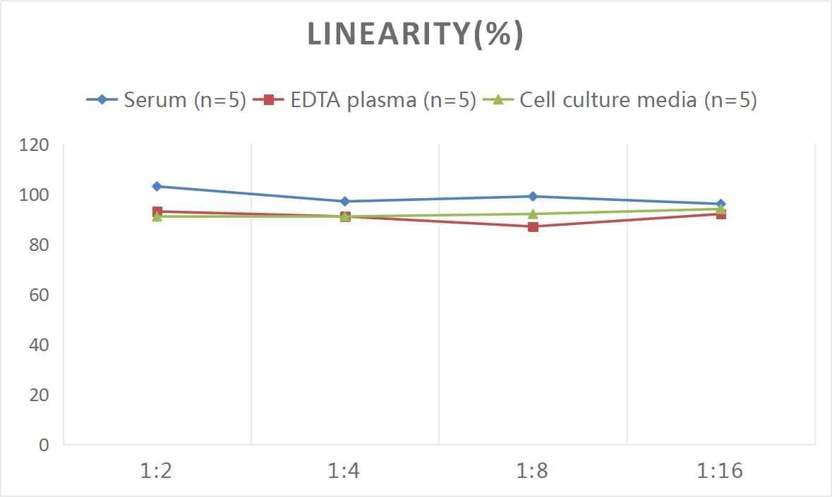 ELISA Mouse IL-35 ELISA Kit (Colorimetric)