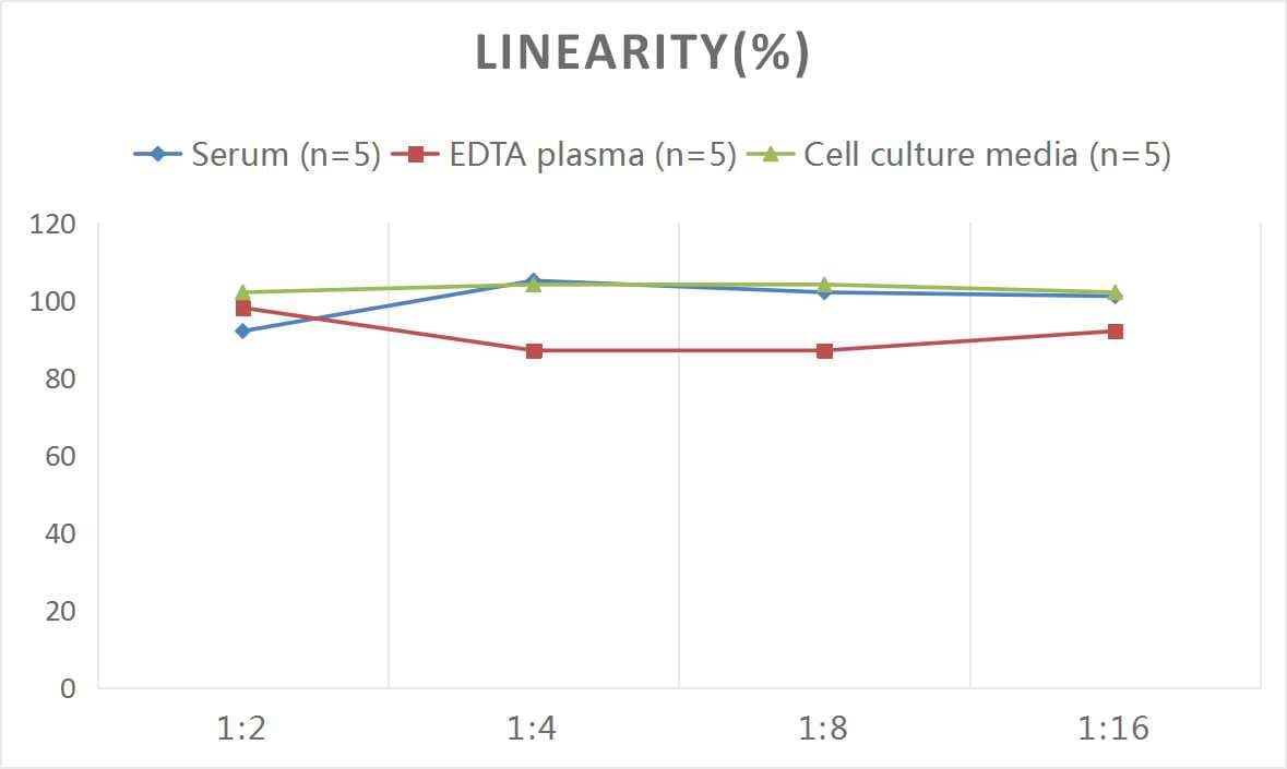 ELISA: Rat Angiopoietin-1 ELISA Kit (Colorimetric) [NBP3-06755] - Samples were spiked with high concentrations of Rat Angiopoietin-1 and diluted with Reference Standard & Sample Diluent to produce samples with values within the range of the assay.