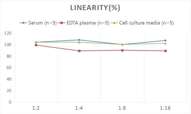 ELISA: Human Calcitonin ELISA Kit (Colorimetric) [NBP3-06756] - Samples were spiked with high concentrations of Human Calcitonin and diluted with Reference Standard & Sample Diluent to produce samples with values within the range of the assay.