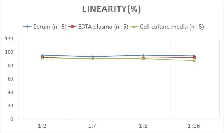 ELISA: Human IL-7R alpha/CD127 ELISA Kit (Colorimetric) [NBP3-06768] - Samples were spiked with high concentrations of Human IL-7R alpha/CD127 and diluted with Reference Standard & Sample Diluent to produce samples with values within the range of the assay.