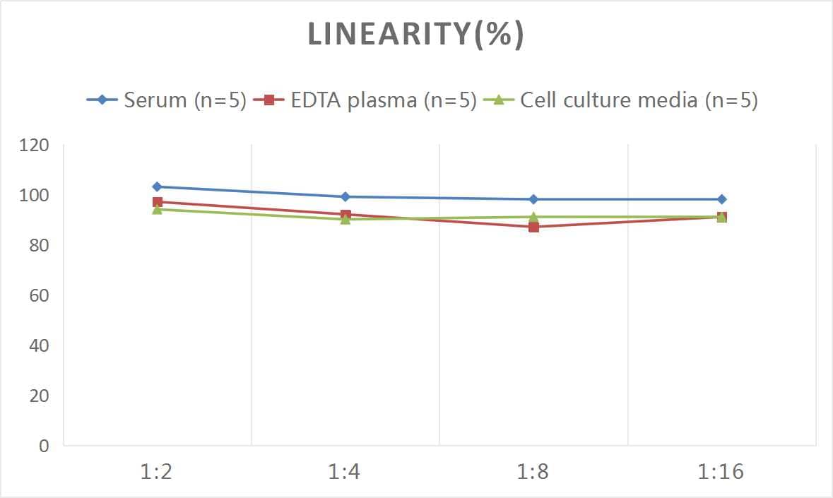 ELISA: Rat IL-5 ELISA Kit (Colorimetric) [NBP3-06769] - Samples were spiked with high concentrations of Rat IL-5 and diluted with Reference Standard & Sample Diluent to produce samples with values within the range of the assay.