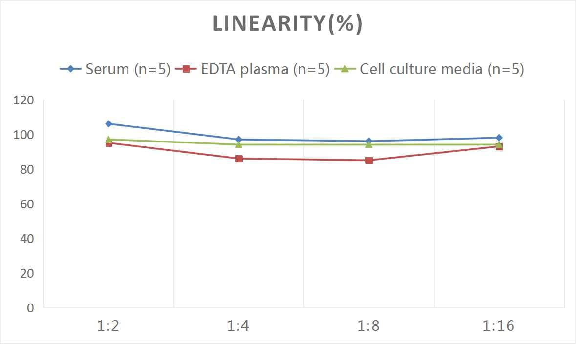 ELISA Human IL-4I1 ELISA Kit (Colorimetric)