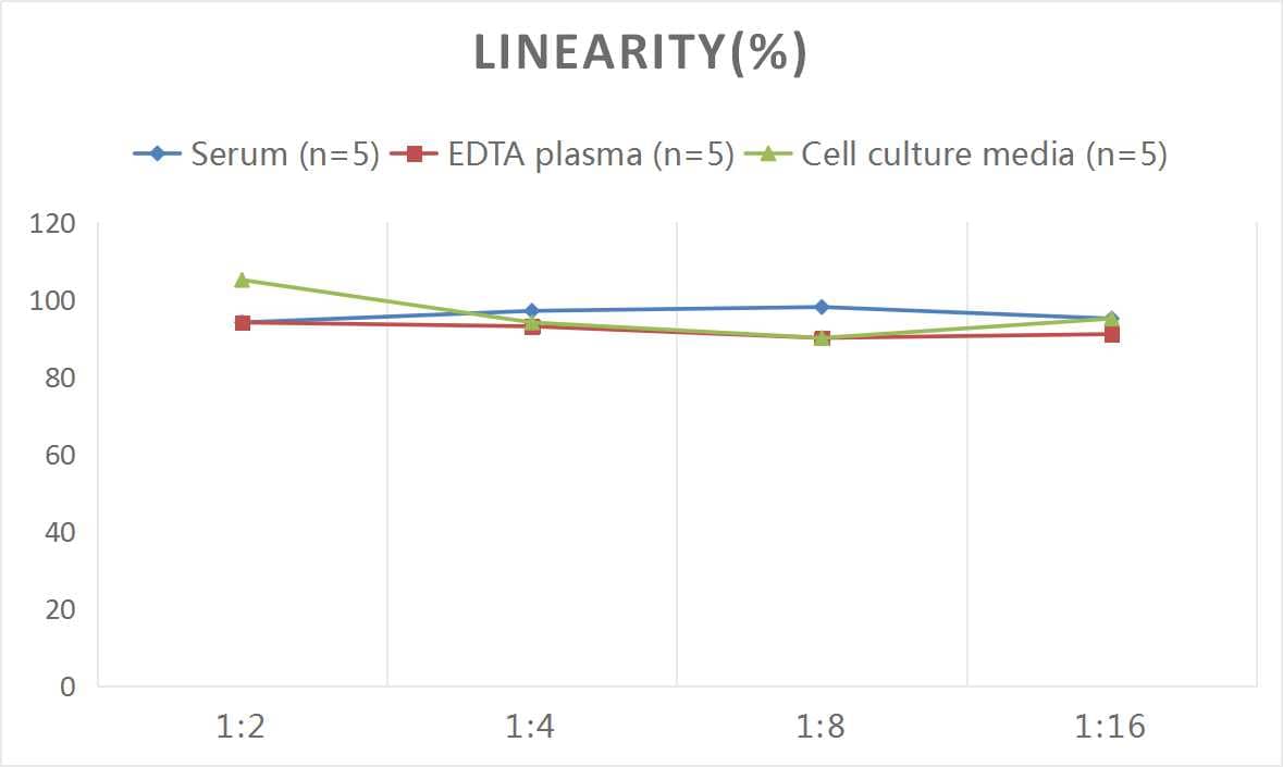 ELISA: Mouse IL-21 ELISA Kit (Colorimetric) [NBP3-06779] - Samples were spiked with high concentrations of Mouse IL-21 and diluted with Reference Standard & Sample Diluent to produce samples with values within the range of the assay.