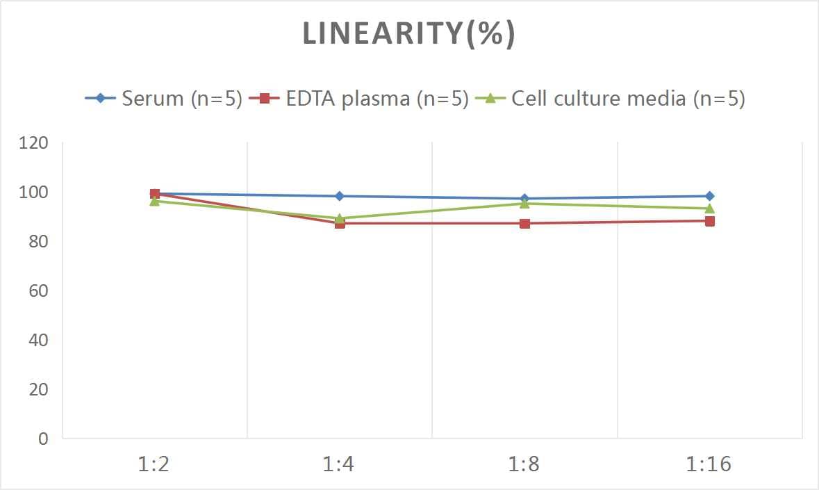 ELISA: Human IL-28A/IFN-lambda 2 ELISA Kit (Colorimetric) [NBP3-06787] - Samples were spiked with high concentrations of Human IL-28A/IFN-lambda 2 and diluted with Reference Standard & Sample Diluent to produce samples with values within the range of the assay.