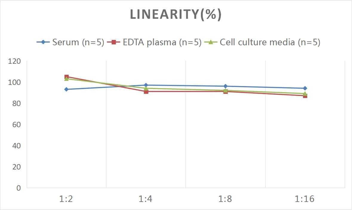 ELISA: Human IL-28B/IFN-lambda 3 ELISA Kit (Colorimetric) [NBP3-06788] - Samples were spiked with high concentrations of Human IL-28B/IFN-lambda 3 and diluted with Reference Standard & Sample Diluent to produce samples with values within the range of the assay.