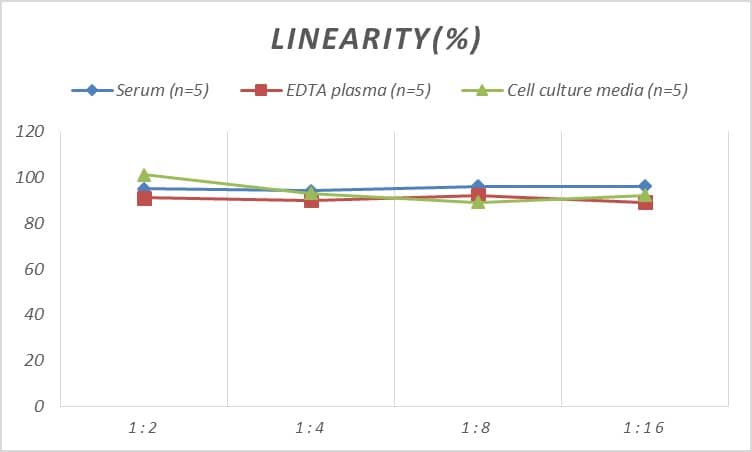 ELISA: Mouse IL-1 RI ELISA Kit (Colorimetric) [NBP3-06803] - Samples were spiked with high concentrations of Mouse IL-1 RI and diluted with Reference Standard & Sample Diluent to produce samples with values within the range of the assay.