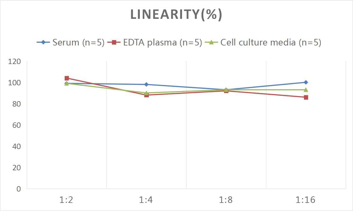 ELISA: Rat IL-1ra/IL-1F3/IL1RN ELISA Kit (Colorimetric) [NBP3-06804] - Samples were spiked with high concentrations of Rat IL-1ra/IL-1F3/IL1RN and diluted with Reference Standard & Sample Diluent to produce samples with values within the range of the assay.