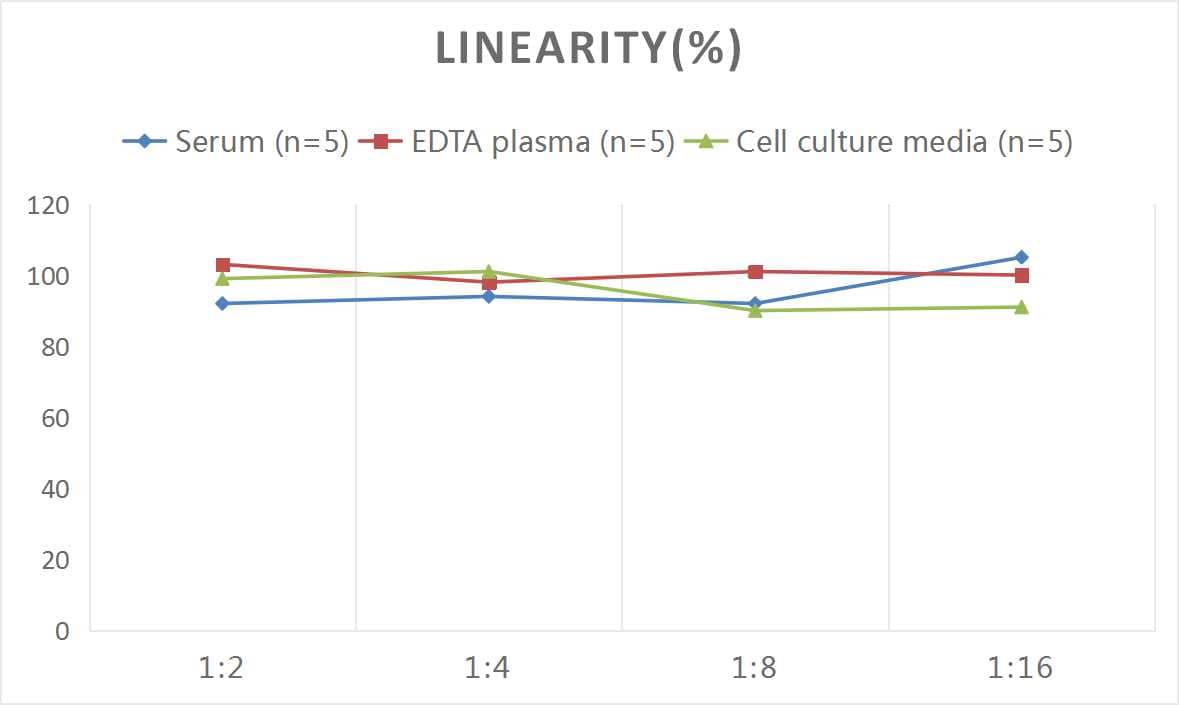 ELISA: Human TWEAK/TNFSF12 ELISA Kit (Colorimetric) [NBP3-06808] - Samples were spiked with high concentrations of Human TWEAK/TNFSF12 and diluted with Reference Standard & Sample Diluent to produce samples with values within the range of the assay.