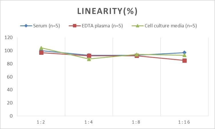 ELISA Human Calretinin ELISA Kit (Colorimetric)