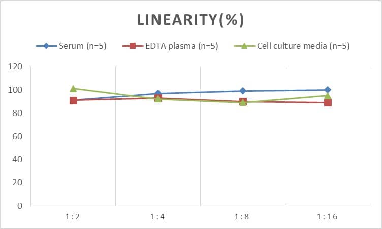 ELISA Mouse Calretinin ELISA Kit (Colorimetric)