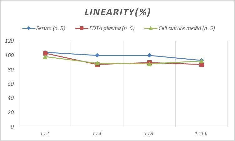 ELISA Rat Calretinin ELISA Kit (Colorimetric)