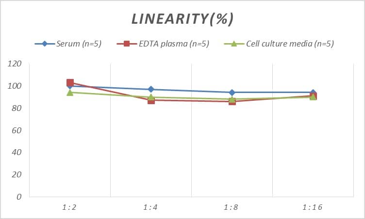 ELISA Rat IFI16 ELISA Kit (Colorimetric)