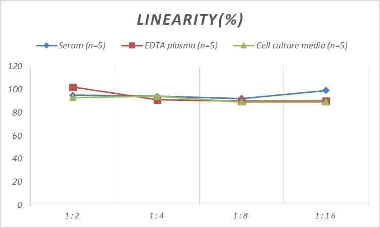 ELISA: Rat Cardiotrophin-1/CT-1 ELISA Kit (Colorimetric) [NBP3-06824] - Samples were spiked with high concentrations of Rat Cardiotrophin-1/CT-1 and diluted with Reference Standard & Sample Diluent to produce samples with values within the range of the assay.