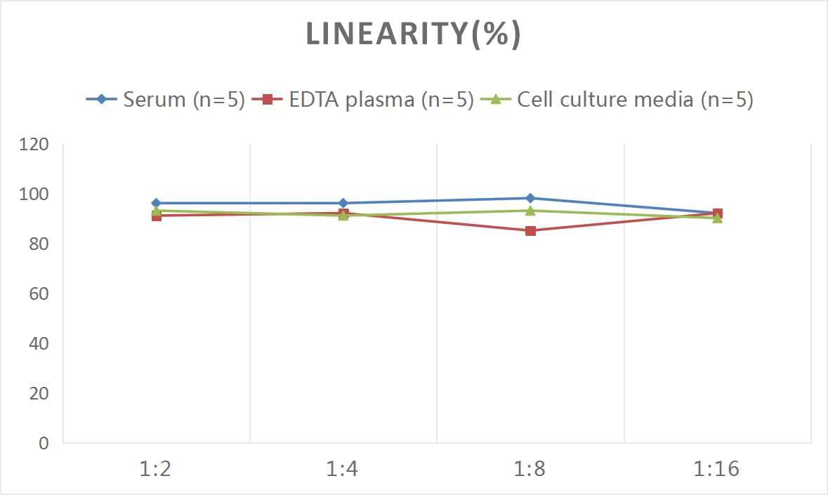 ELISA: Mouse CTLA-4 ELISA Kit (Colorimetric) [NBP3-06829] - Samples were spiked with high concentrations of Mouse CTLA-4 and diluted with Reference Standard & Sample Diluent to produce samples with values within the range of the assay.