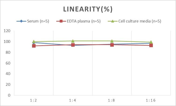 ELISA: Rabbit IL-17/IL-17A ELISA Kit (Colorimetric) [NBP3-06851] - Samples were spiked with high concentrations of Rabbit IL-17/IL-17A and diluted with Reference Standard & Sample Diluent to produce samples with values within the range of the assay.