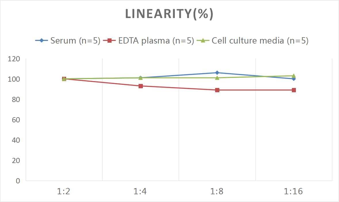 ELISA: Mouse IL-16 ELISA Kit (Colorimetric) [NBP3-06853] - Samples were spiked with high concentrations of Mouse IL-16 and diluted with Reference Standard & Sample Diluent to produce samples with values within the range of the assay.