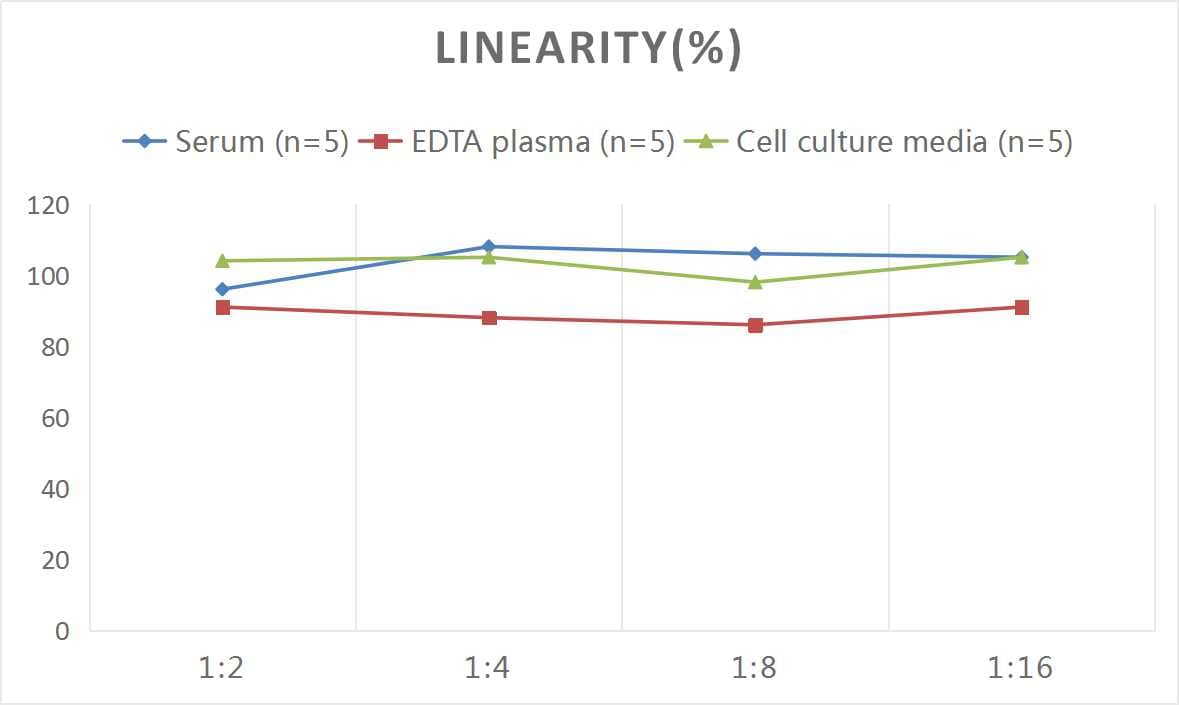 ELISA: Rat IL-16 ELISA Kit (Colorimetric) [NBP3-06854] - Samples were spiked with high concentrations of Rat IL-16 and diluted with Reference Standard & Sample Diluent to produce samples with values within the range of the assay.