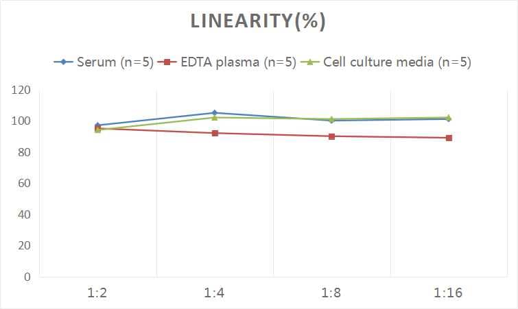 ELISA: Human MMP-24/MT5-MMP ELISA Kit (Colorimetric) [NBP3-06891] - Samples were spiked with high concentrations of Human MMP-24/MT5-MMP and diluted with Reference Standard & Sample Diluent to produce samples with values within the range of the assay.