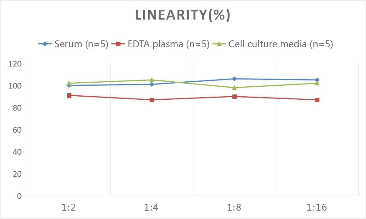 ELISA: Mouse MMP-24/MT5-MMP ELISA Kit (Colorimetric) [NBP3-06892] - Samples were spiked with high concentrations of Mouse MMP-24/MT5-MMP and diluted with Reference Standard & Sample Diluent to produce samples with values within the range of the assay.