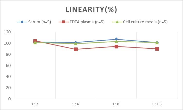 ELISA: Rat MMP-24/MT5-MMP ELISA Kit (Colorimetric) [NBP3-06893] - Samples were spiked with high concentrations of Rat MMP-24/MT5-MMP and diluted with Reference Standard & Sample Diluent to produce samples with values within the range of the assay.