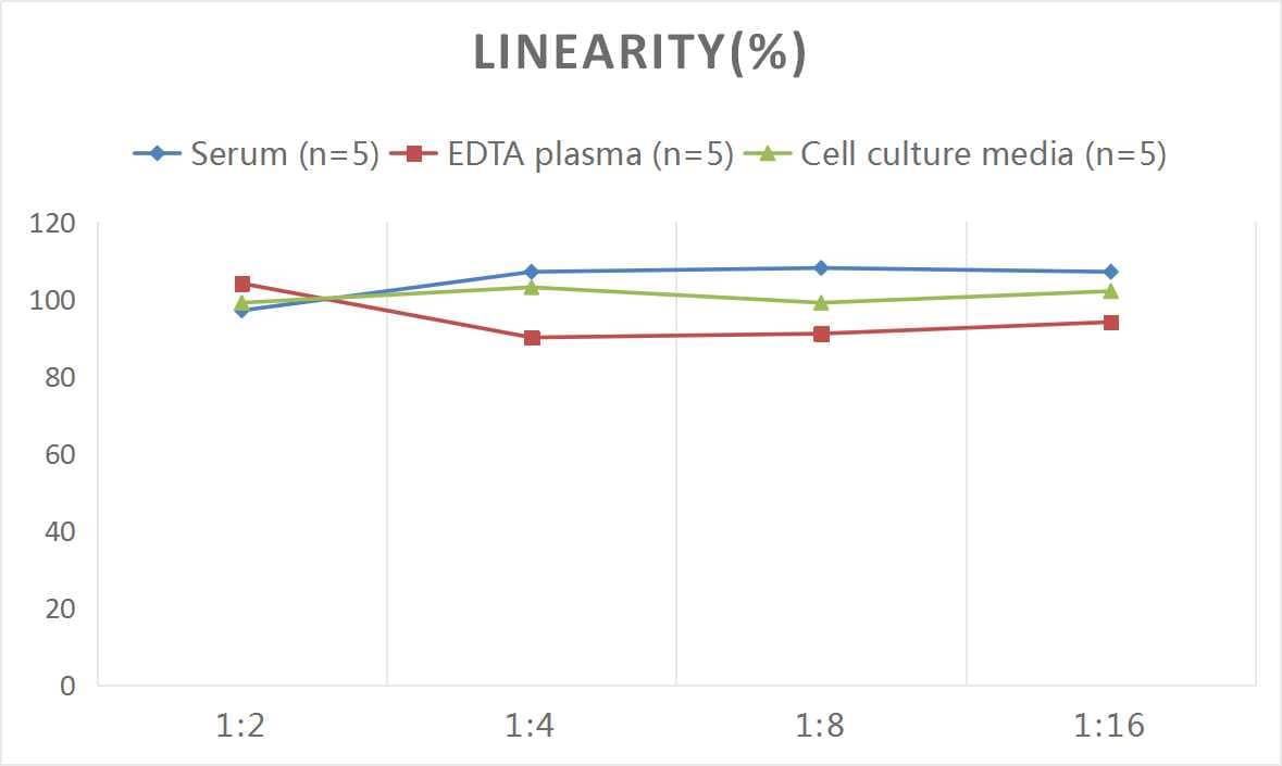 ELISA: Mouse MMP-7 ELISA Kit (Colorimetric) [NBP3-06895] - Samples were spiked with high concentrations of Mouse MMP-7 and diluted with Reference Standard & Sample Diluent to produce samples with values within the range of the assay.