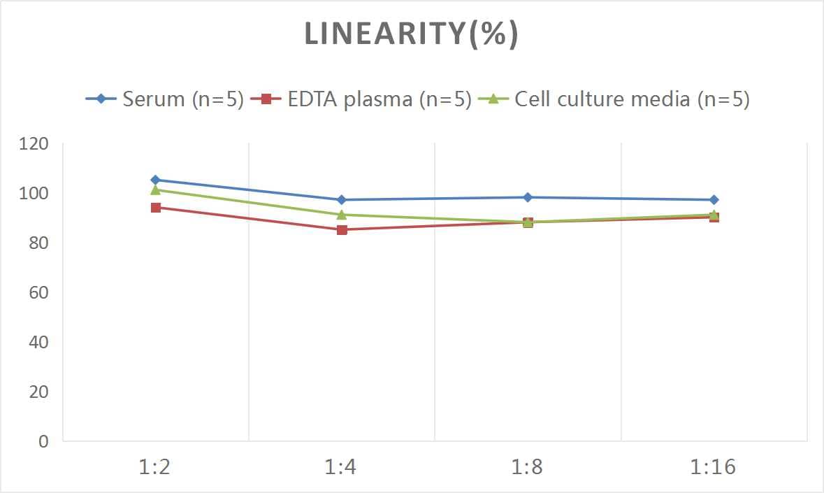 ELISA: Mouse Plasmin-Antiplasmin Complex, PAP ELISA Kit (Colorimetric) [NBP3-06903] - Samples were spiked with high concentrations of Mouse Plasmin-Antiplasmin Complex, PAP and diluted with Reference Standard & Sample Diluent to produce samples with values within the range of the assay.