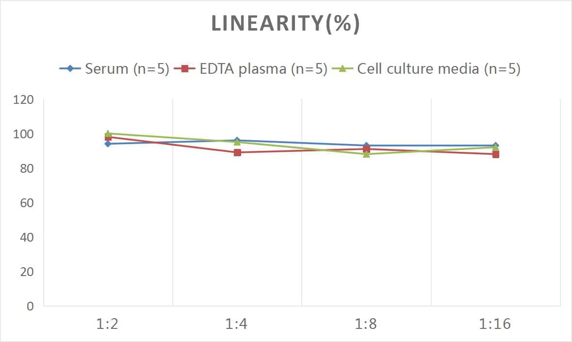 ELISA: Rat Plasmin-Antiplasmin Complex, PAP ELISA Kit (Colorimetric) [NBP3-06904] - Samples were spiked with high concentrations of Rat Plasmin-Antiplasmin Complex, PAP and diluted with Reference Standard & Sample Diluent to produce samples with values within the range of the assay.