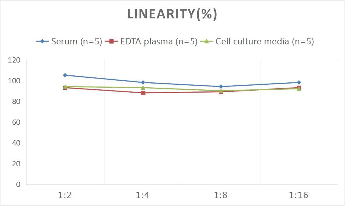 ELISA: Human Prothrombin Fragment 1+2 ELISA Kit (Colorimetric) [NBP3-06905] - Samples were spiked with high concentrations of Human Prothrombin Fragment 1+2 and diluted with Reference Standard & Sample Diluent to produce samples with values within the range of the assay.