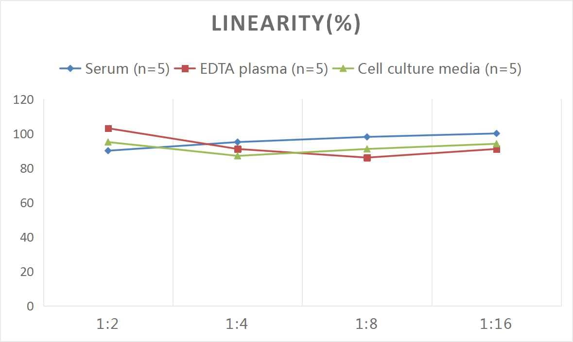 ELISA Human Fibrinopeptide A ELISA Kit (Colorimetric)