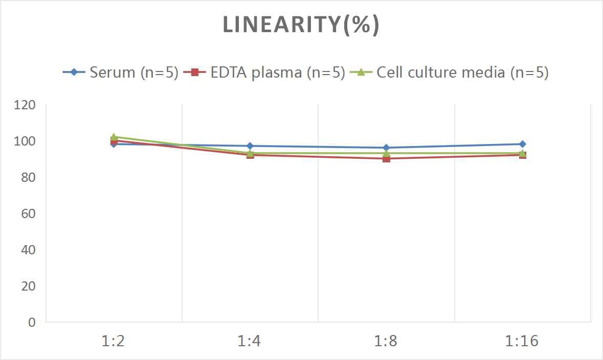 ELISA: Mouse MMP-10 ELISA Kit (Colorimetric) [NBP3-06933] - Samples were spiked with high concentrations of Mouse MMP-10 and diluted with Reference Standard & Sample Diluent to produce samples with values within the range of the assay.