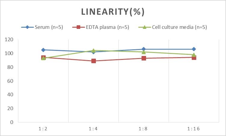 ELISA: Rat MMP-11 ELISA Kit (Colorimetric) [NBP3-06936] - Samples were spiked with high concentrations of Rat MMP-11 and diluted with Reference Standard & Sample Diluent to produce samples with values within the range of the assay.