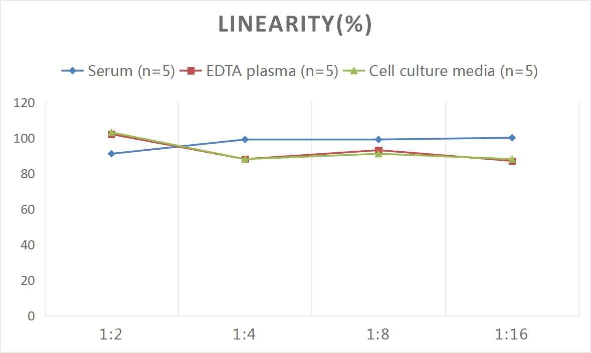 ELISA: Human MMP23B ELISA Kit (Colorimetric) [NBP3-06942] - Samples were spiked with high concentrations of Human MMP23B and diluted with Reference Standard & Sample Diluent to produce samples with values within the range of the assay.