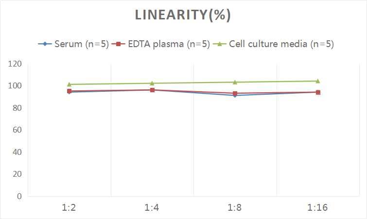 ELISA: Human Metallothionein-1 ELISA Kit (Colorimetric) [NBP3-06944] - Samples were spiked with high concentrations of Human Metallothionein-1 and diluted with Reference Standard & Sample Diluent to produce samples with values within the range of the assay.