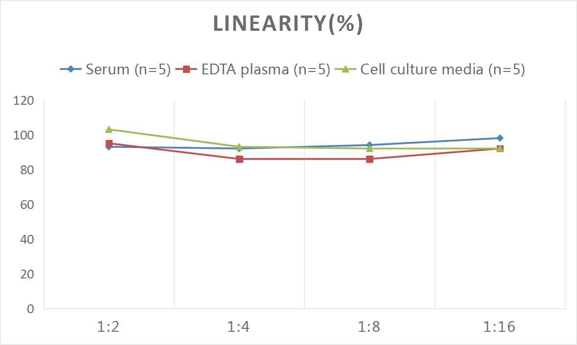 ELISA: Rat SCF/c-kit Ligand ELISA Kit (Colorimetric) [NBP3-06958] - Samples were spiked with high concentrations of Rat SCF/c-kit Ligand and diluted with Reference Standard & Sample Diluent to produce samples with values within the range of the assay.