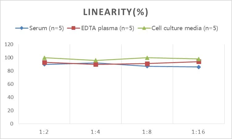 ELISA: Rabbit MMP-9 ELISA Kit (Colorimetric) [NBP3-06982] - Samples were spiked with high concentrations of Rabbit MMP-9 and diluted with Reference Standard & Sample Diluent to produce samples with values within the range of the assay.